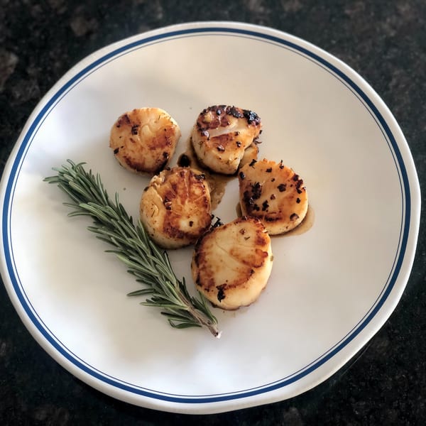 Five seared scallops with a sprig of rosemary on a white plate with blue trim.
